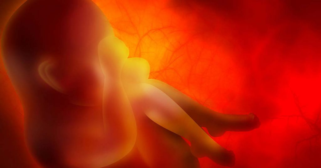 Centro de reprodução humana: Onde a esperança ganha vida ou apenas uma promessa?