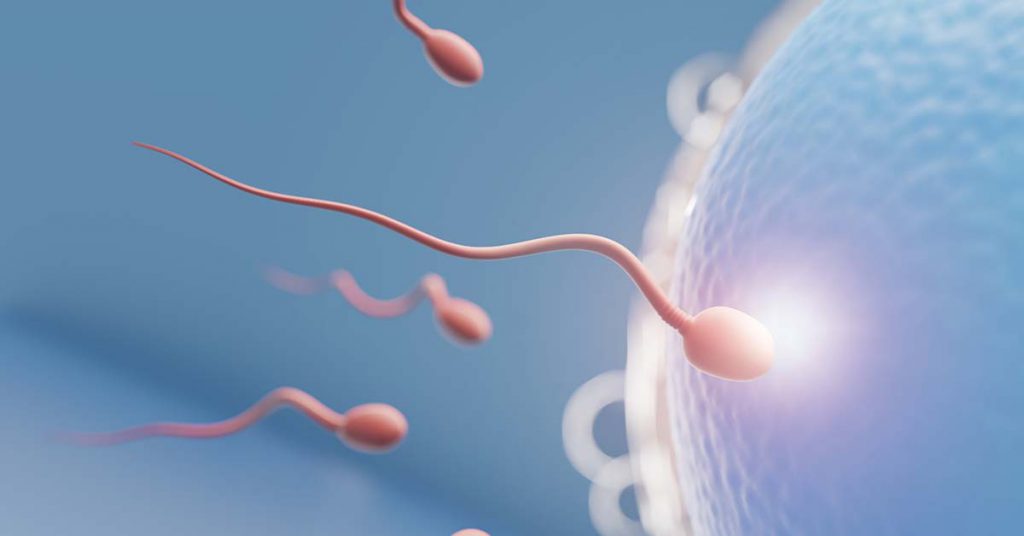 Injeção para induzir a ovulação: O valor da possibilidade de ser mãe